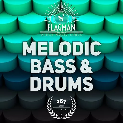 Beatrising Flagman Melodic Bass & Drums Samples WAV