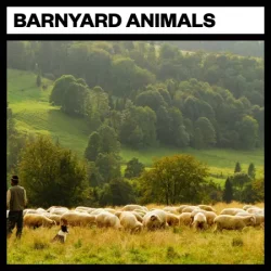 Big Room Sound Barnyard Animals WAV