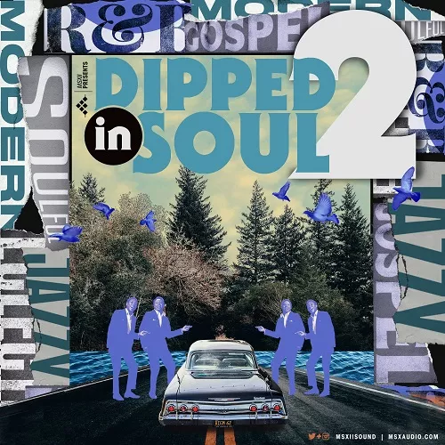 Dipped In Soul Vol.2 WAV