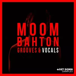 Get Down Samples Moombahton Grooves & Vocals [WAV MIDI]