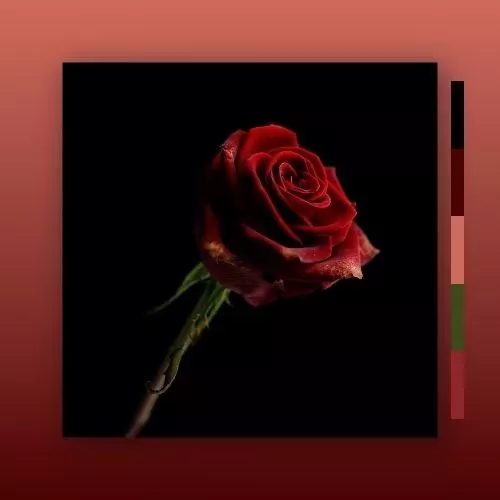 MarcDBeats Rose WAV