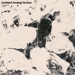 SM130 Ambient Analog Techno WAV