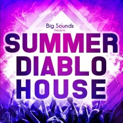 Big Sounds Summer Diablo House [WAV MIDI PRESETS]