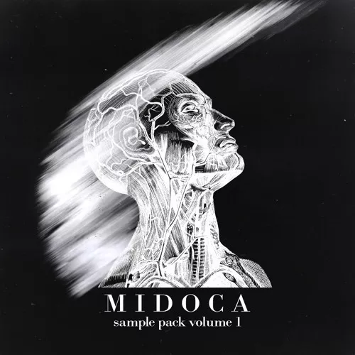 Midoca Sample Pack Vol_1 WAV