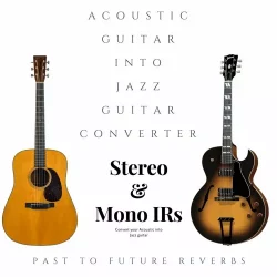 PastToFutureReverbs Acoustic Guitar Into Jazz Guitar Converter! WAV