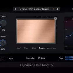 Physical Audio Dynamic Plate Reverb v3.1.7 [WIN]