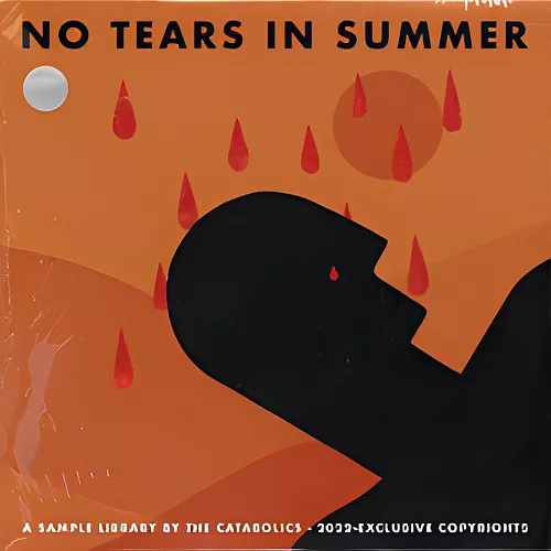 The Catabolics No Tears In Summer (Compositions) [WAV]