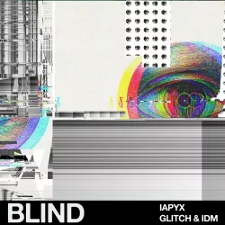 Blind Audio lapyx - IDM & Glitch WAV