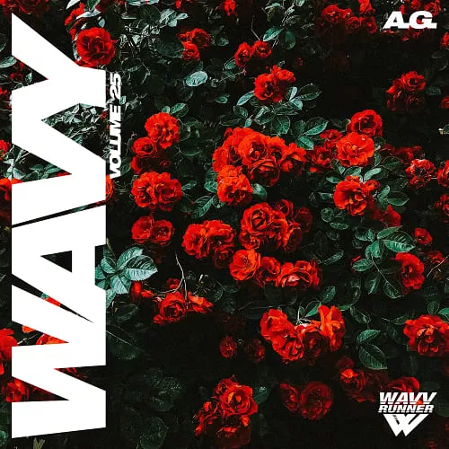 A.G. Wavy Vol.25 WAV