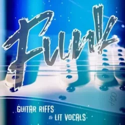 HQO FUNK GUITAR RIFFS & LIT VOCALS WAV