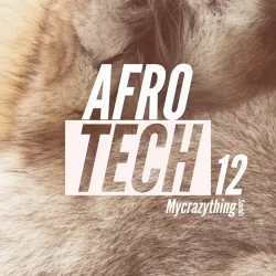 Mycrazything Sounds Afro Tech 12 WAV