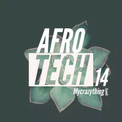 Mycrazything Sounds Afro Tech 14 WAV