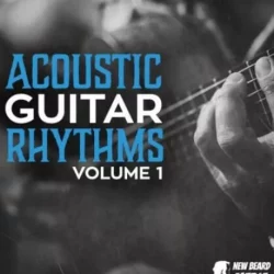 New Beard Media Acoustic Rhythm Guitars Vol.1 WAV
