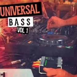 New Beard Media Universal Bass Vol.1 WAV