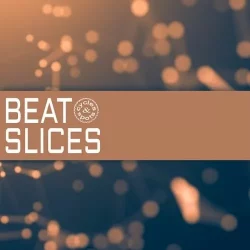 Cycles & Spots Beat Slices WAV