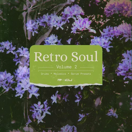 Renraku Retro Soul 2 - RnB/Synthwave Sample & Serum Preset Pack