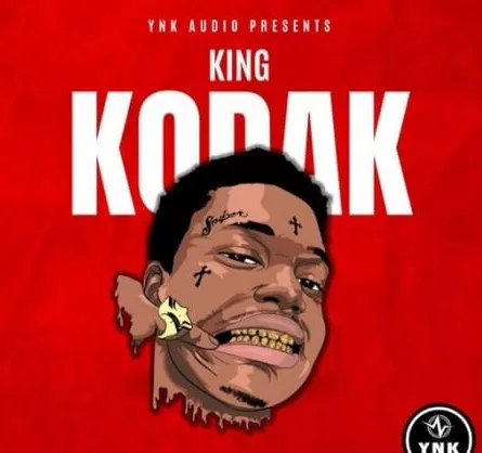 YnK Audio King Kodak Trap Piano Loops WAV