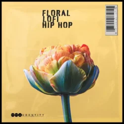 Audentity Records Floral Lofi Hip Hop WAV
