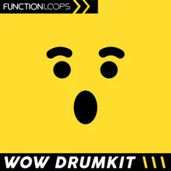 Function Loops Wow Drumkit Hyperpop & Beyond WAV