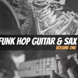 New Beard Media Funk Hop Guitar & Sax Vol.1 WAV