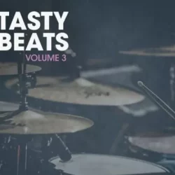 New Beard Media Tasty Beats Vol.3 WAV