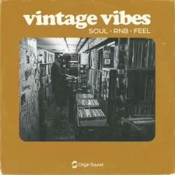 Origin Sound Vintage Vibes WAV