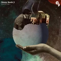 SM Sleazy Beats 3 [WAV MIDI PRESETS]