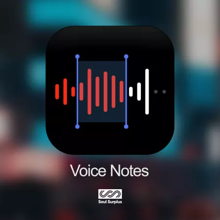 Soul Surplus Voice Notes WAV