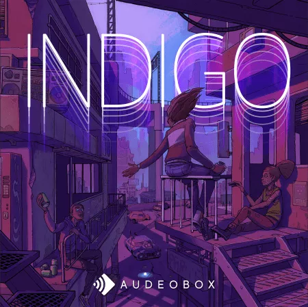 AudeoBox Indigo WAV