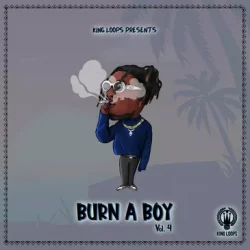 King Loops Burn A Boy Vol.4 [WAV MIDI]