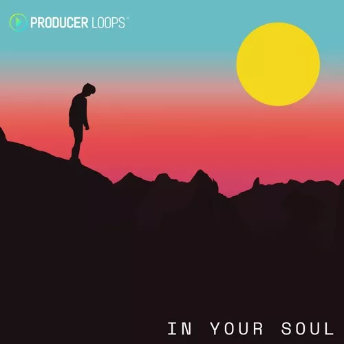 Producer Loops In Your Soul [WAV MIDI]