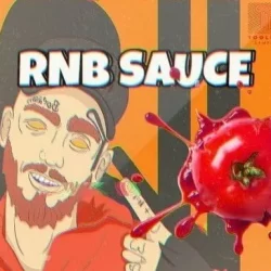 Toolbox Samples RnB Sauce WAV