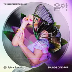 Wildcardz Feat. Lydia Paek - Sounds of K-Pop WAV