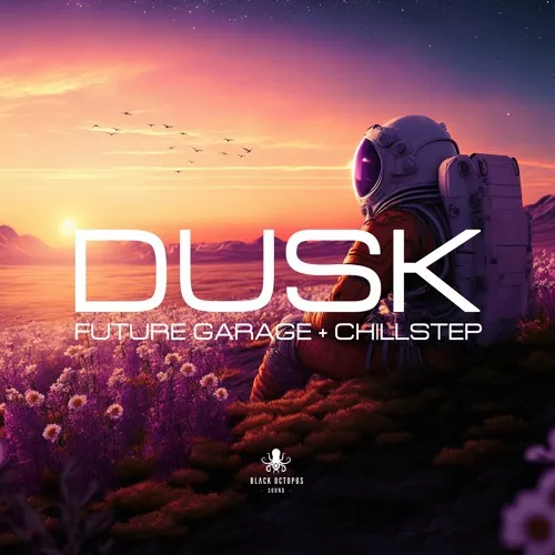 Dusk Future Garage & Chillstep [WAV FXP]
