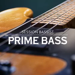 NI Session Bassist Prime Bass v1.0.1 [KONTAKT]