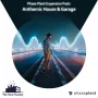 The Tone Foundry Anthemic House & Garage (Phase Plant Presets)