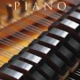 Spitfire Audio Plucked Piano v1.2 KONTAKT