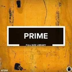 AT201 Prime // Full-Size Library [Standard Edition] WAV