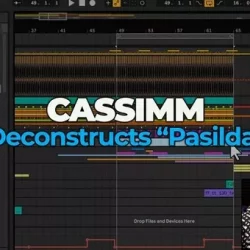 CASSIMM Deconstructs Pasilda TUTORIAL