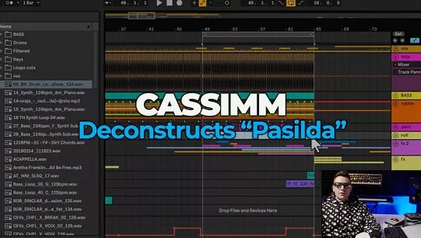 CASSIMM Deconstructs Pasilda TUTORIAL