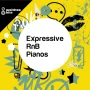 Multiton Bits Expressive RnB Pianos WAV