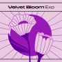 NI Expansion: VELVET BLOOM