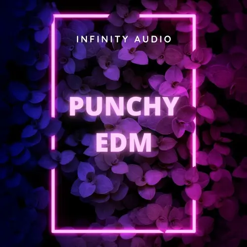 Infinity Audio Punchy EDM WAV MIDI