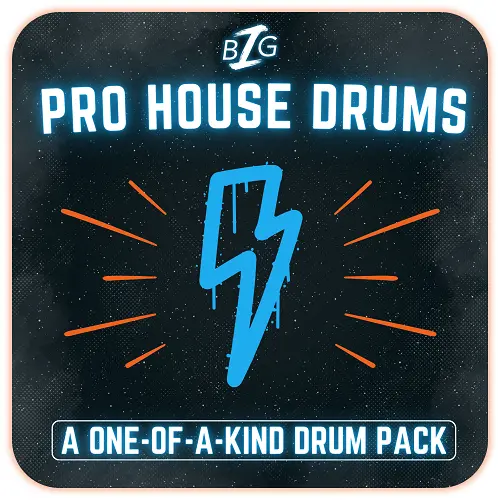 Big Z Sounds Big Z's Pro House Drums WAV