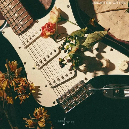 Touch Loops Songwriter Guitars WAV