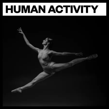 Big Room Sound Human Activity WAV
