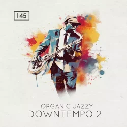 BS143 Organic Jazzy Downtempo 2 WAV MIDI